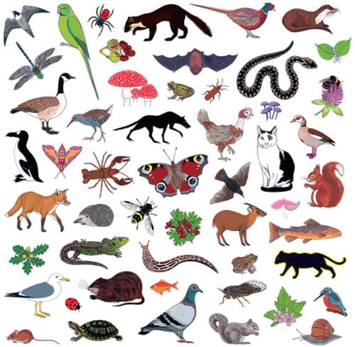 Modern Nature - Island of Noise