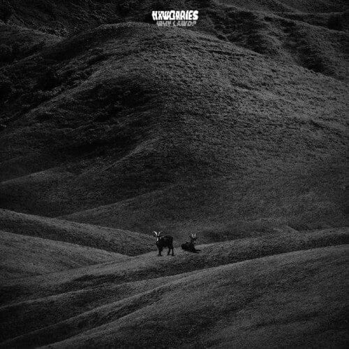 NxWorries - Why Lawd? (Indie Exclusive, Colored Vinyl, Brown, Blue, Splatter)