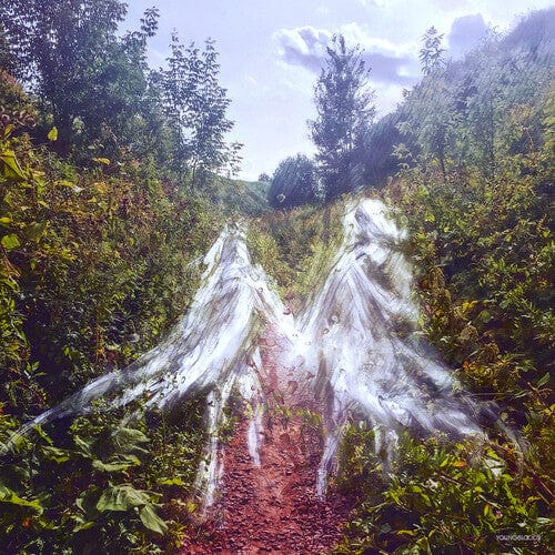 Penelope Antena - Beamorose