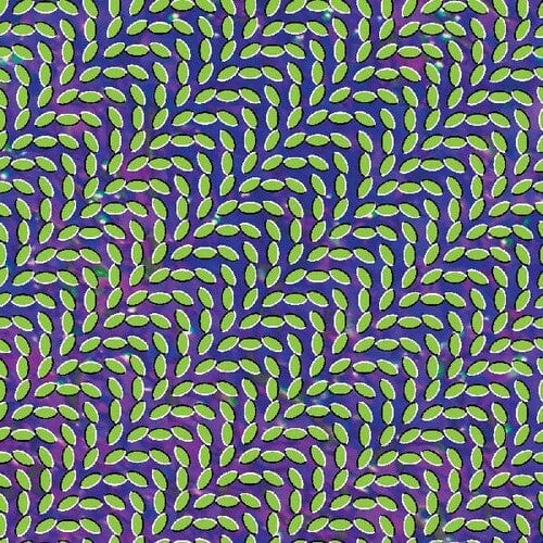 Animal Collective - Merriweather Post Pavilion (Clear Vinyl, Green, Blue, Deluxe Edition, Gatefold LP Jacket)