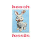BEACH FOSSILS - Bunny - Powder Blue