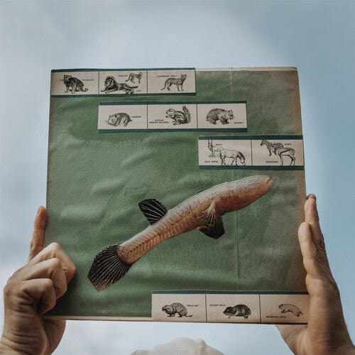 Cotton Jones - The River Strumming (180 Gram Vinyl)