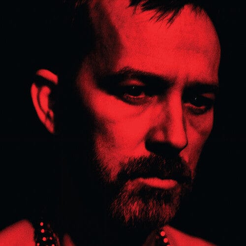 Johnston, Duquette - Social Animals