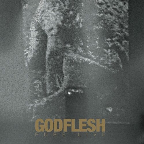 Godflesh - Pure Live
