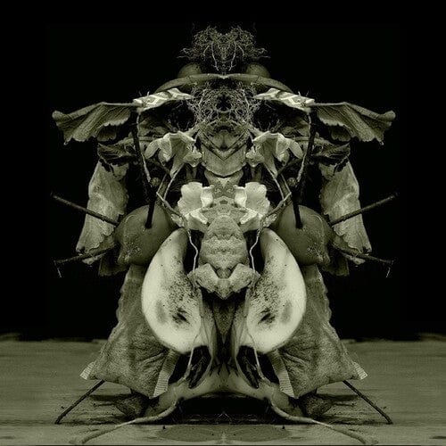 Gurun Gurun - Uzu Oto