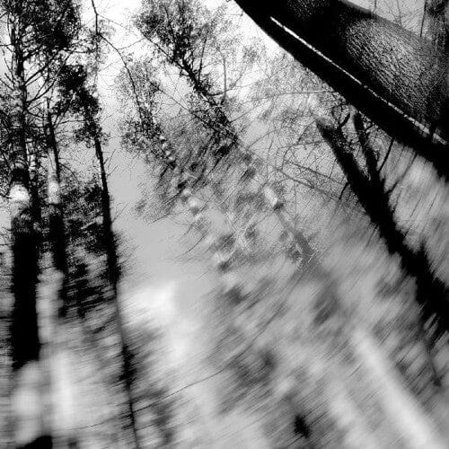 Loess - Totems - Clear Vinyl