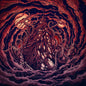 Blut Aus Nord - Disharmonium, Undreamable Abysses