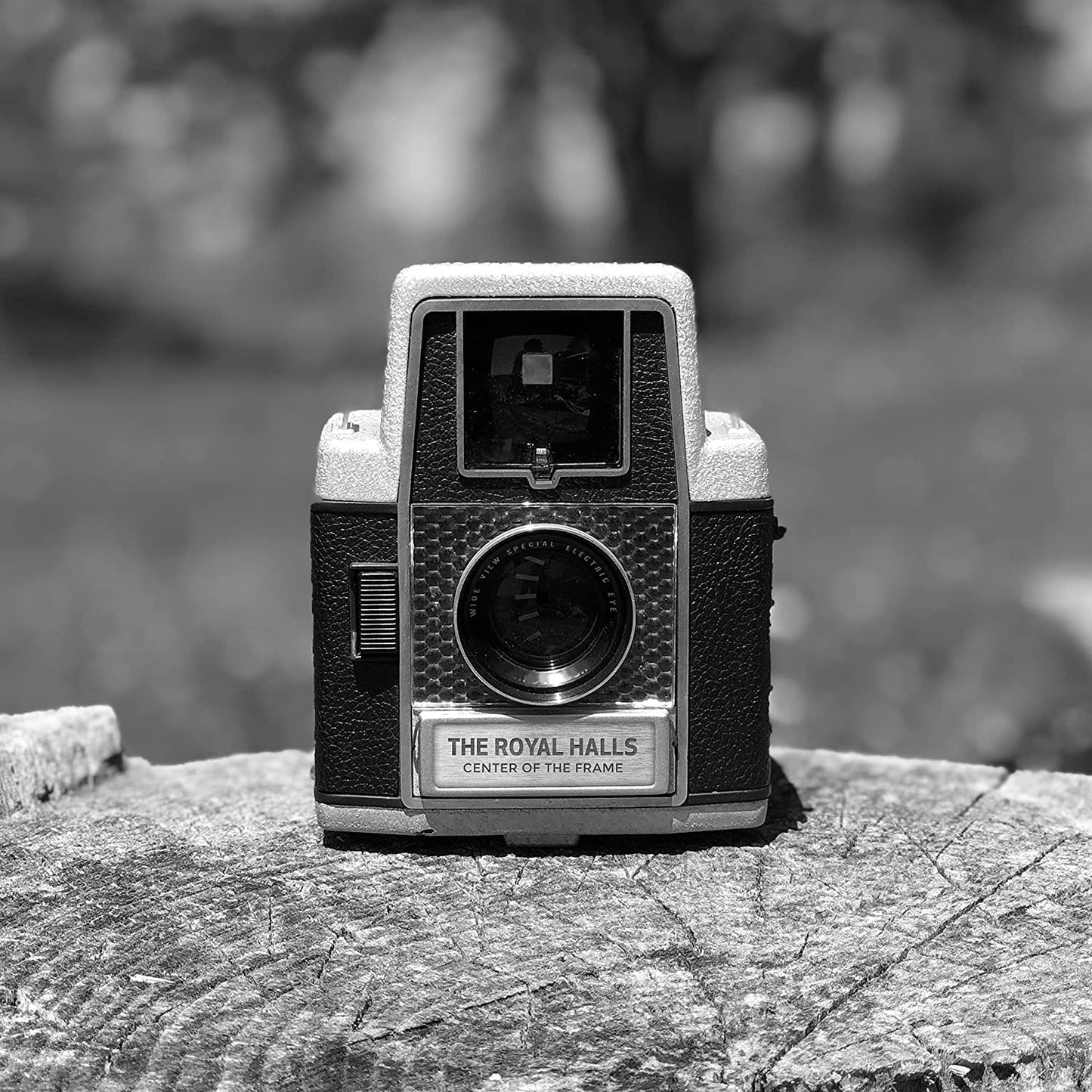 Royal Halls - Center Of The Frame