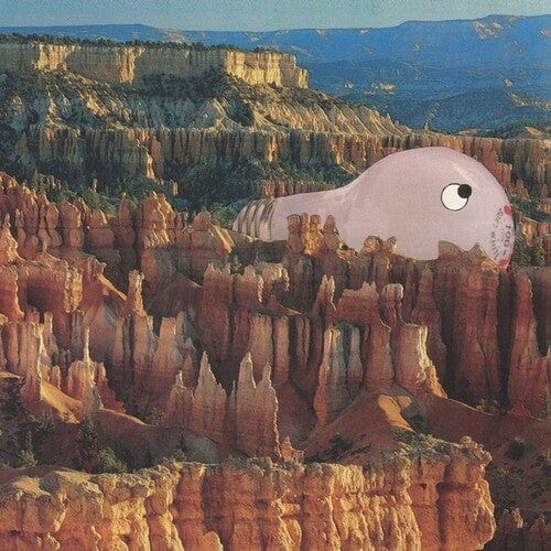 Sana Shenai - Warm Former