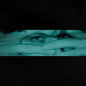 Soft Vein - THROUGH BLINDS
