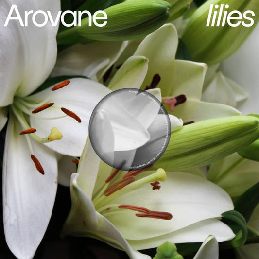 AROVANE - Lilies